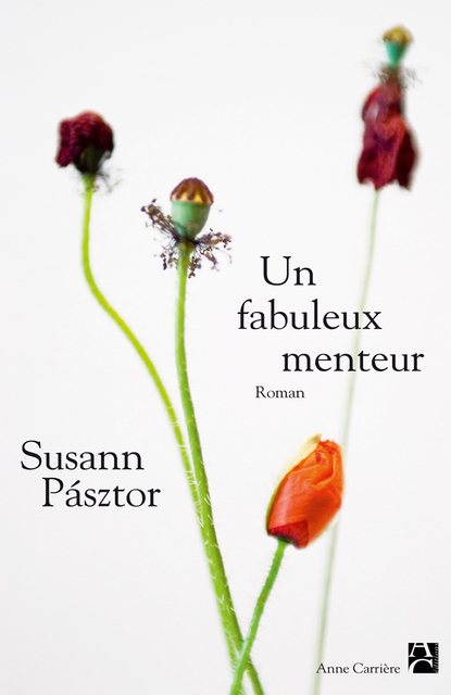 Un fabuleux menteur Un fabuleux menteur